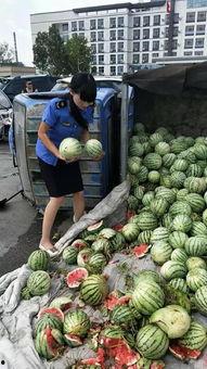 商丘柘城吃瓜事件真相,揭秘背后真相与反思