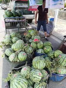 康县网红吃瓜视频爆料事件,揭秘背后真相