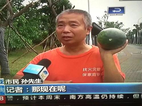 吃瓜群众围观事件