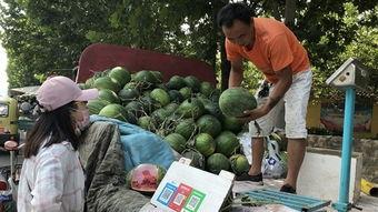 济宁天台吃瓜事件始末是什么,一场网络热议的始末揭秘