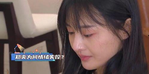 郑爽事件以后的吃瓜
